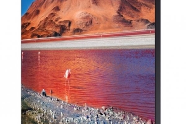 Kraken рабочее зеркало