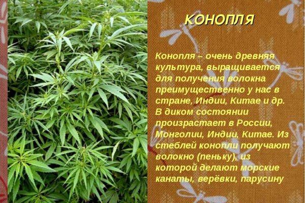 Кракен маркетплейс ссылка телеграмм